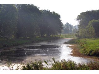 Kosciusko County, Indiana farmland - REAL ESTATE AUCTION - 91+/- ACRES IN 4 TRACTS IN KOSCIUSKO COUNTY, INDIANA